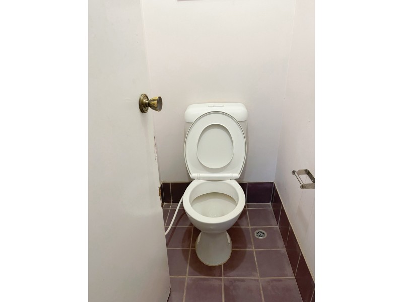 12 Hewitt Place, Minto NSW 2566