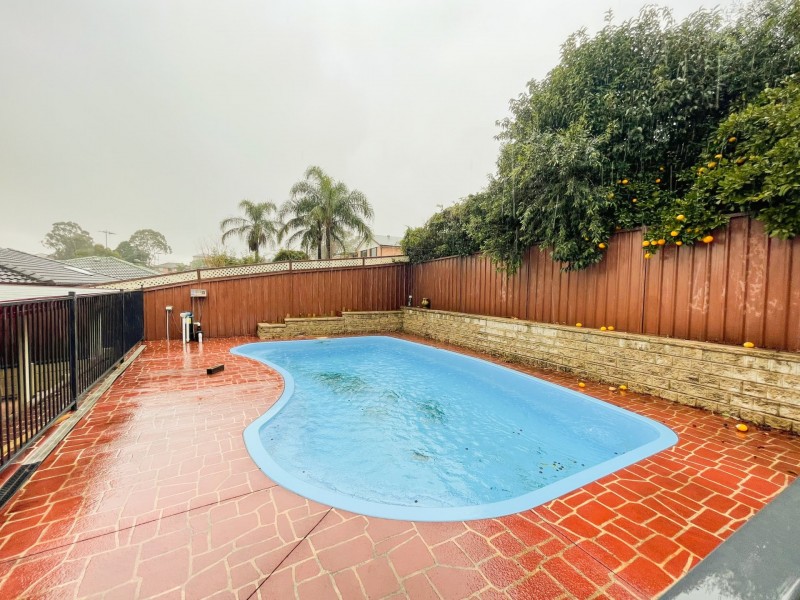 12 Hewitt Place, Minto NSW 2566