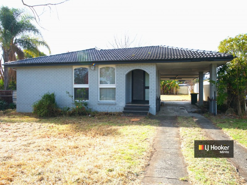 19 Lillas Place, Minto NSW 2566