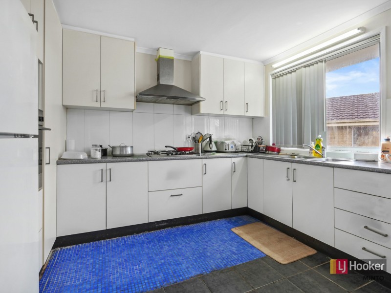 19 Lillas Place, Minto NSW 2566