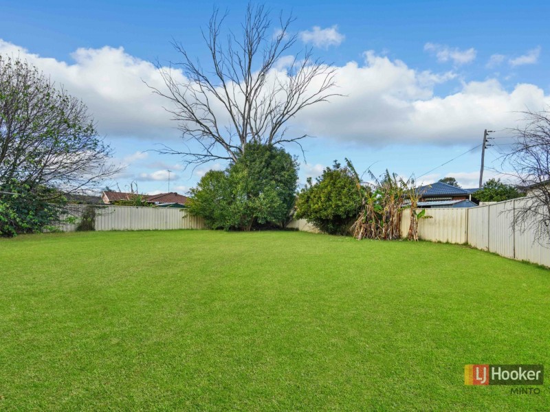 19 Lillas Place, Minto NSW 2566