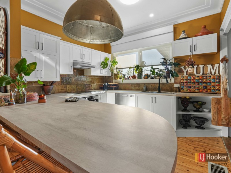 48 Eagleview Road, Minto NSW 2566