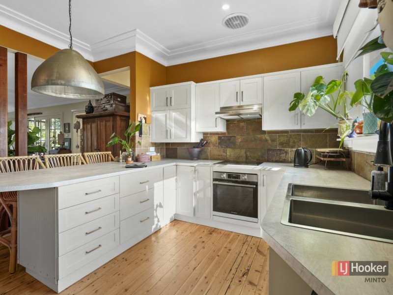 48 Eagleview Road, Minto NSW 2566