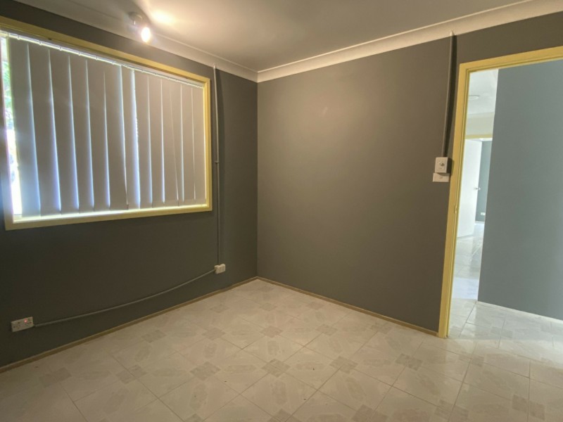 11 Blackwood Avenue, Minto NSW 2566