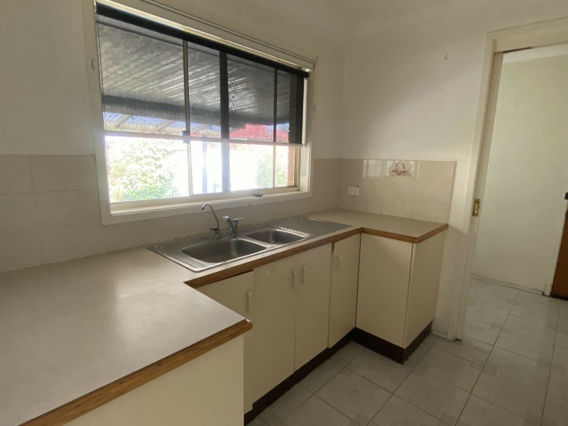 11 Blackwood Avenue, Minto NSW 2566