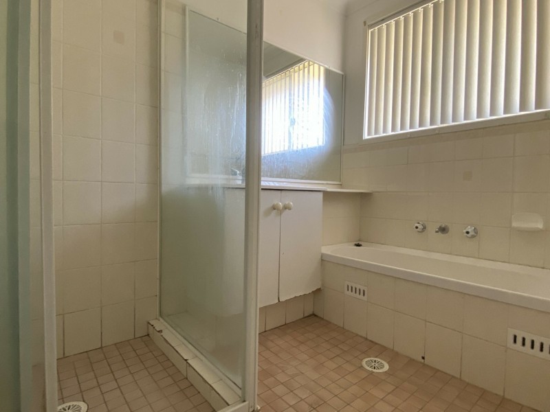 11 Blackwood Avenue, Minto NSW 2566