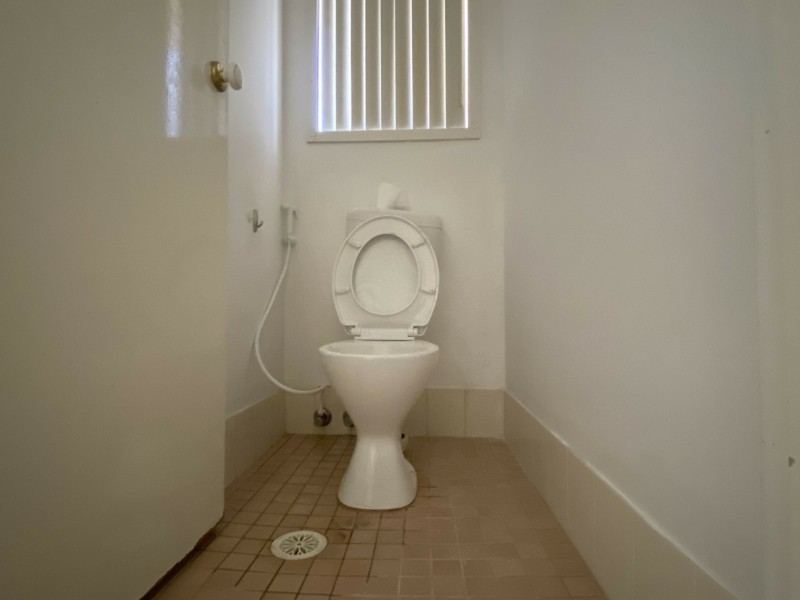 11 Blackwood Avenue, Minto NSW 2566