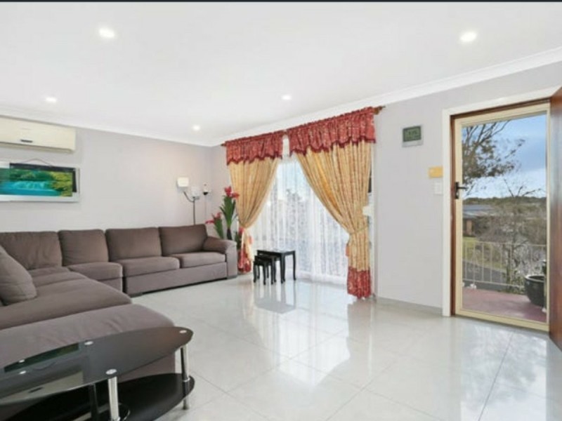 3 Ross Place, Minto NSW 2566