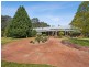19 Ben Lomond Road, Minto NSW 2566
