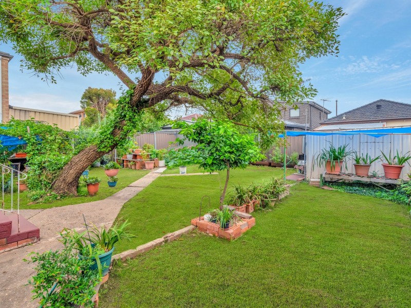 20 Codrington Street, Fairfield NSW 2165