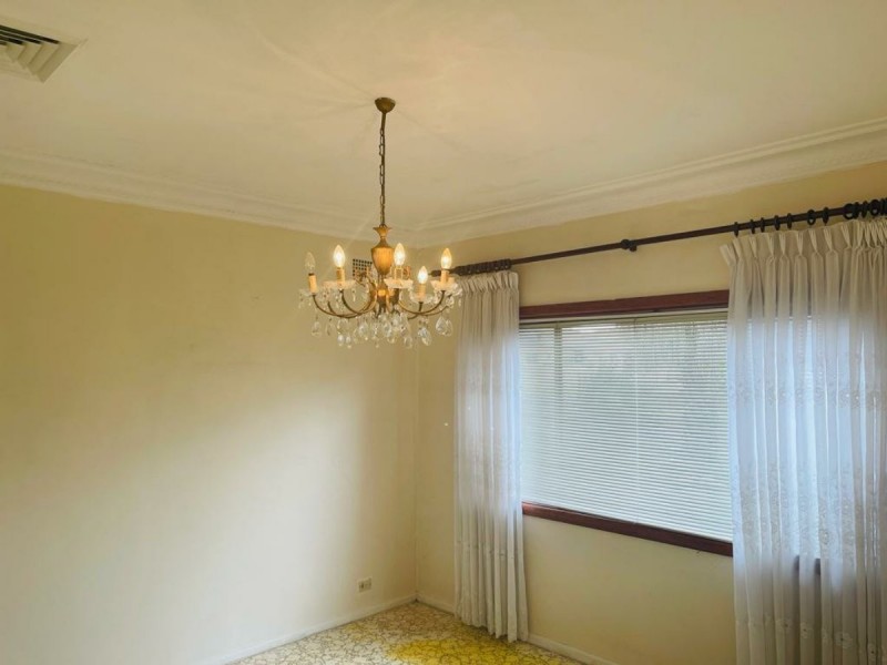 142 Canley Vale Rd, Canley Heights NSW 2166