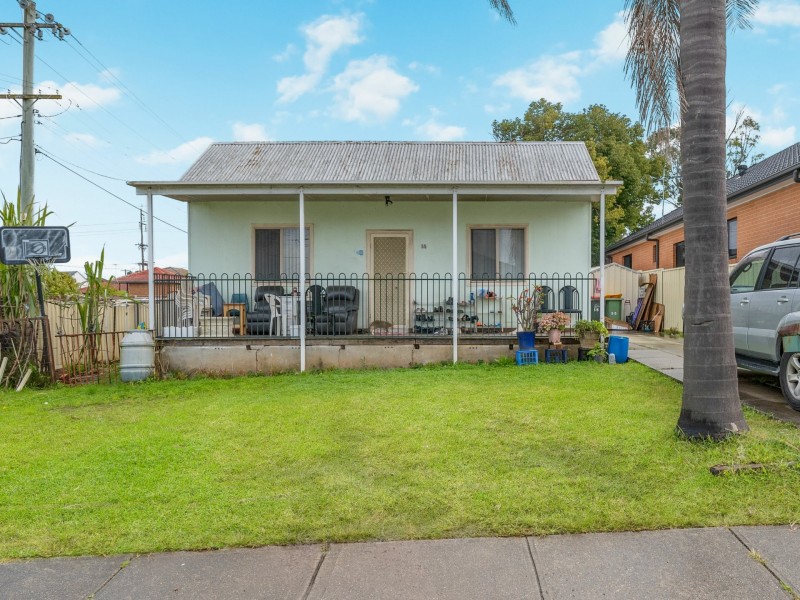 55 Alick Street, Cabramatta NSW 2166