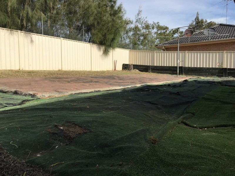 55 Sanderling Street, Hinchinbrook NSW 2168