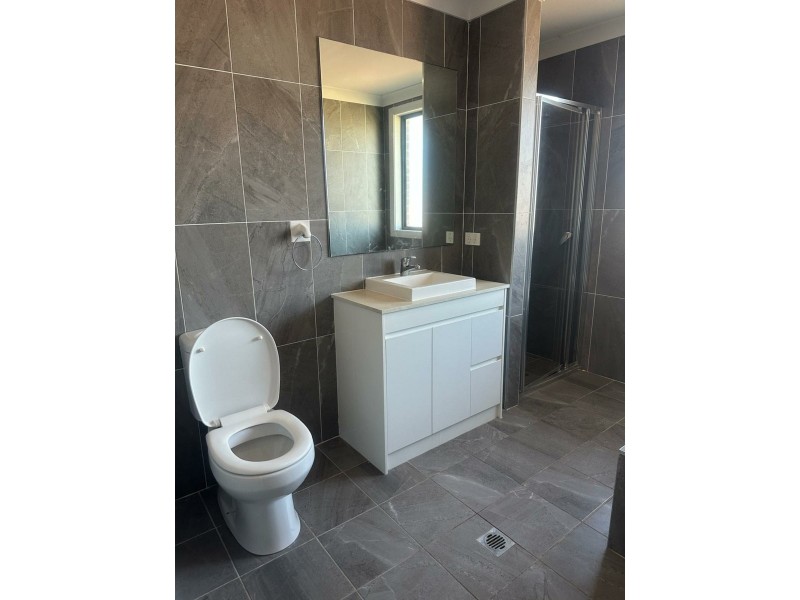 93 Wyong Street, Canley Heights NSW 2166