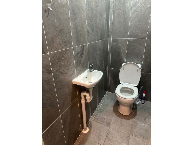 93 Wyong Street, Canley Heights NSW 2166