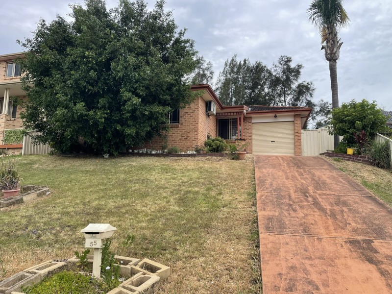 55 Sanderling Street, Hinchinbrook NSW 2168