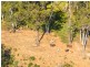 145 Quirkes Lane, Menangle NSW 2568