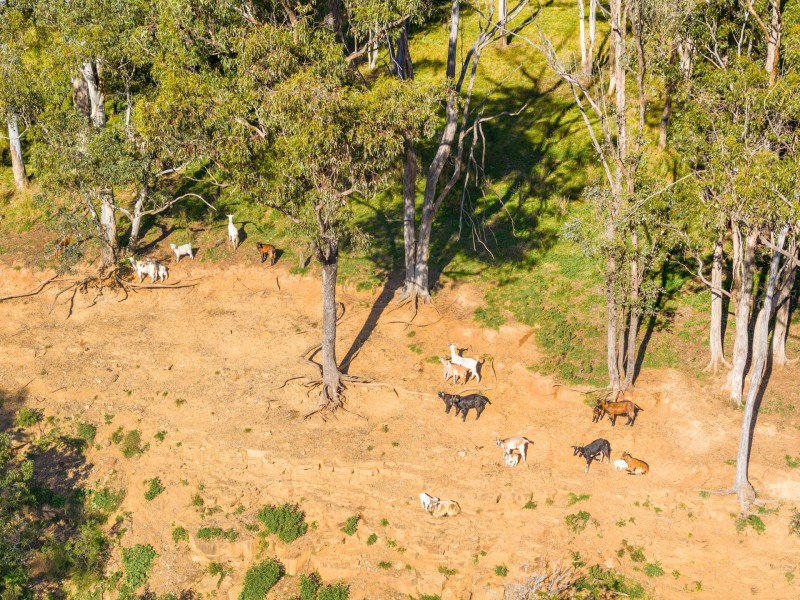 145 Quirkes Lane, Menangle NSW 2568