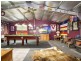 195 Bobs Range Road, Orangeville NSW 2570