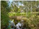 195 Bobs Range Road, Orangeville NSW 2570