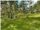 195 Bobs Range Road, Orangeville NSW 2570