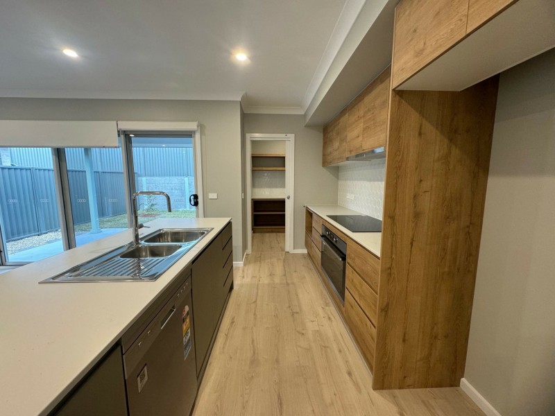 19 Campion Way, Spring Farm NSW 2570