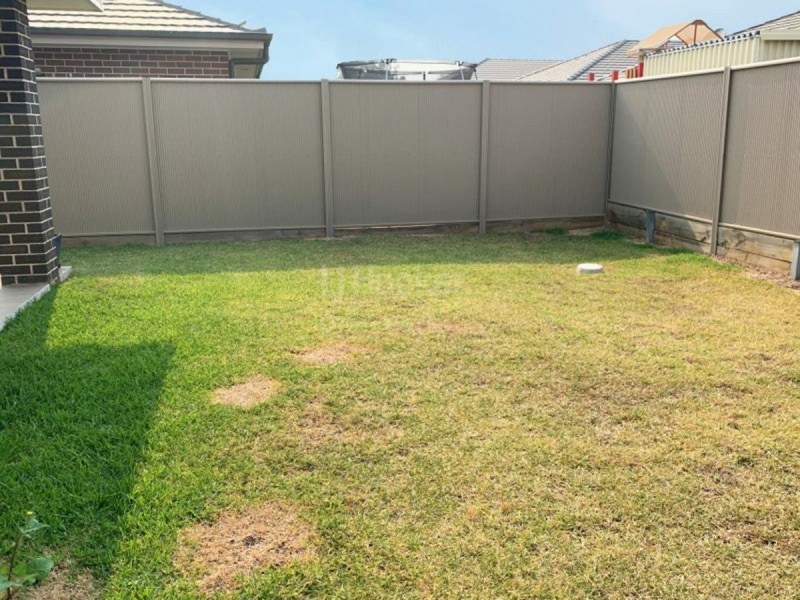 17 Millman Road, Spring Farm NSW 2570