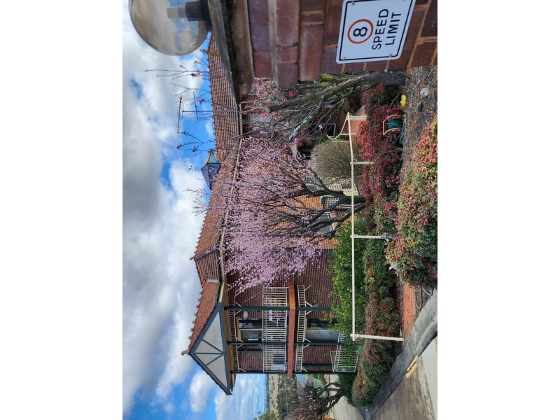 Unit 6/1a Old Hume Highway, Camden NSW 2570