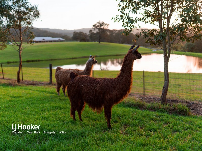 485 Old Razorback Road, Razorback NSW 2571