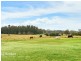 7 Pindari Avenue, Camden NSW 2570