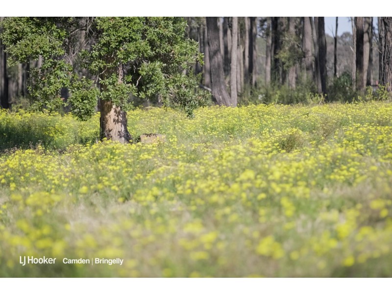 50 Roberts Rd, Werombi NSW 2570