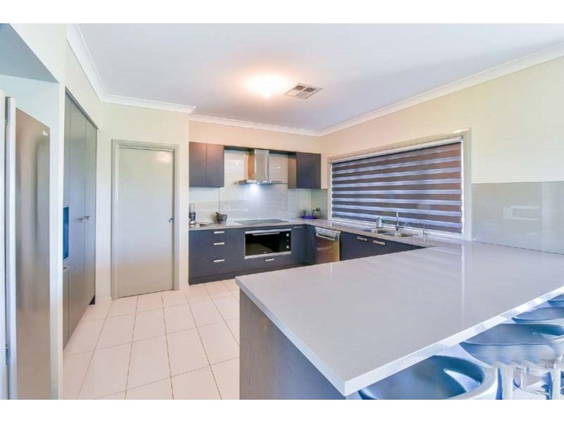 565 Old Razorback Road, Cawdor NSW 2570