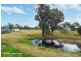 20 Berwick Park Road, Wilton NSW 2571