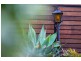 34 Burke Street, Ruse NSW 2560
