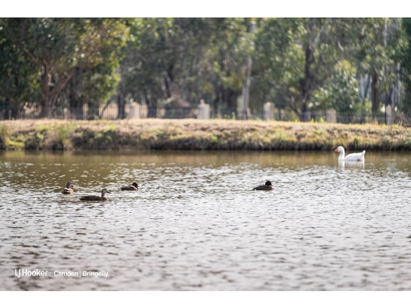 17 Derwent Road, Bringelly NSW 2556