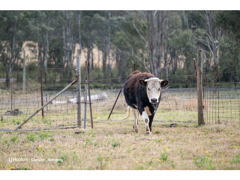 17 Derwent Road, Bringelly NSW 2556