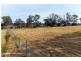 16 Wentworth Rd, Bringelly NSW 2556
