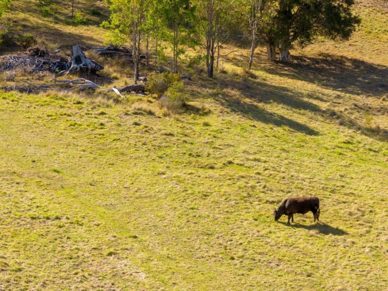 33 Square Dam Road, Mulgoa NSW 2745