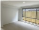 9 Thorpe Circuit, Oran Park NSW 2570