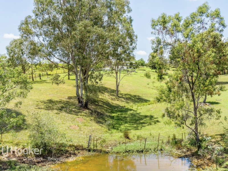 365 Bobs Range Road, Orangeville NSW 2570