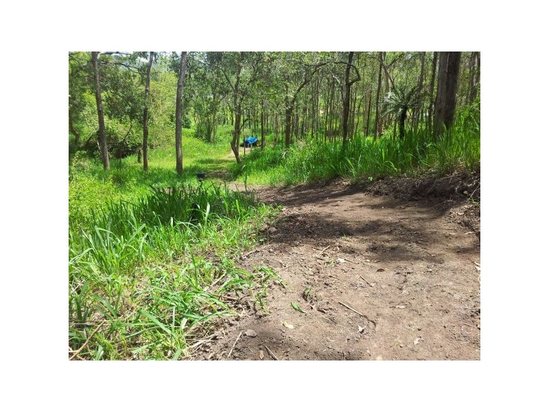 Lot 166 Woods Road, Dows Creek QLD 4754