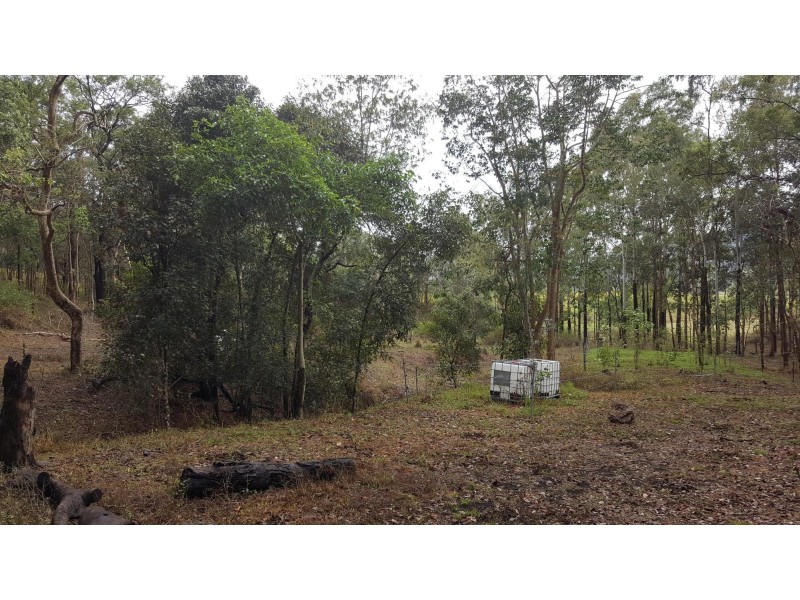Lot 166 Woods Road, Dows Creek QLD 4754
