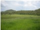 Lot 166 Woods Road, Dows Creek QLD 4754