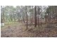 Lot 166 Woods Road, Dows Creek QLD 4754