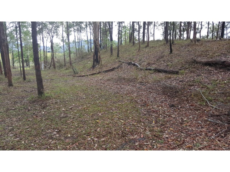 Lot 166 Woods Road, Dows Creek QLD 4754