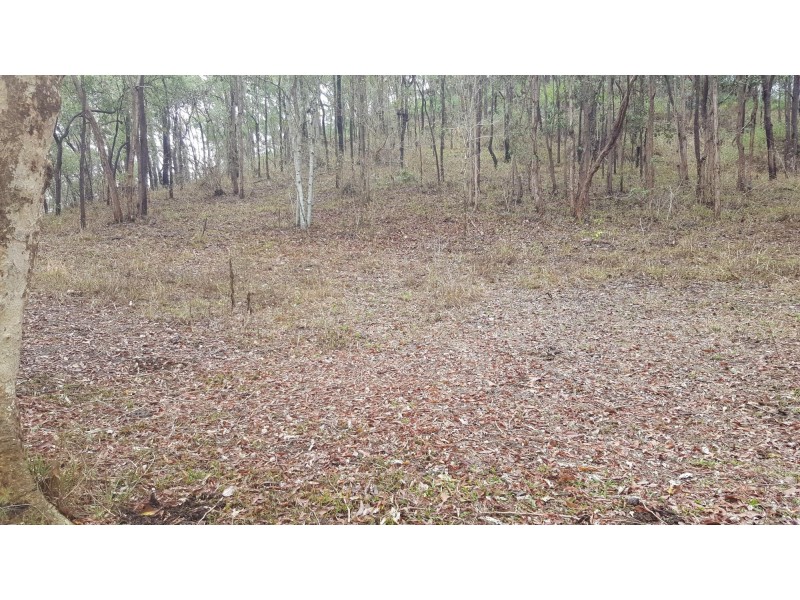 Lot 166 Woods Road, Dows Creek QLD 4754