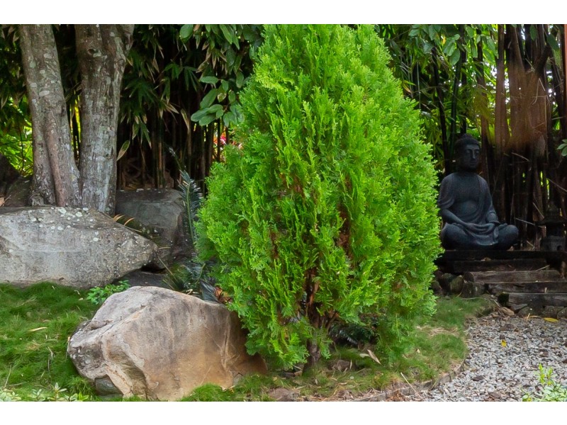 25 Ridgewood Drive, Farleigh QLD 4741