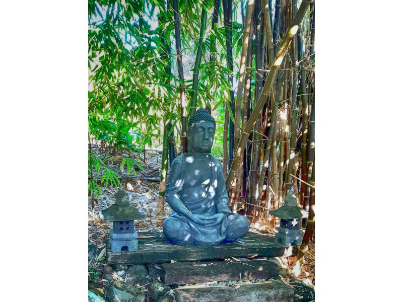 25 Ridgewood Drive, Farleigh QLD 4741