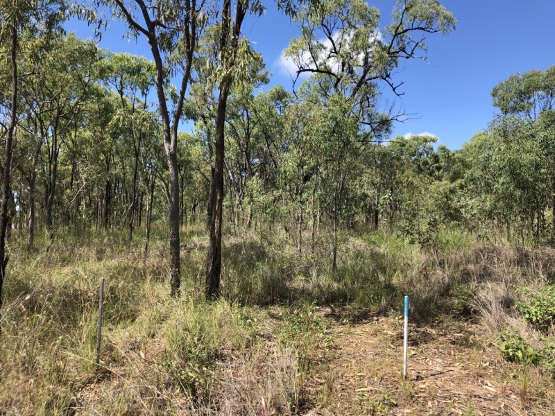 Lot 8 Bruce Highway, Clairview QLD 4741