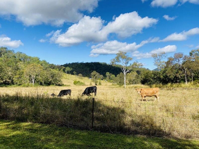 437 East Funnel Creek Road, Sarina Range QLD 4737